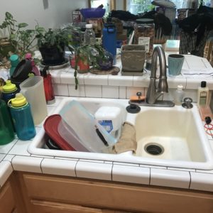 Evidence of bad habits - dishes in sink
