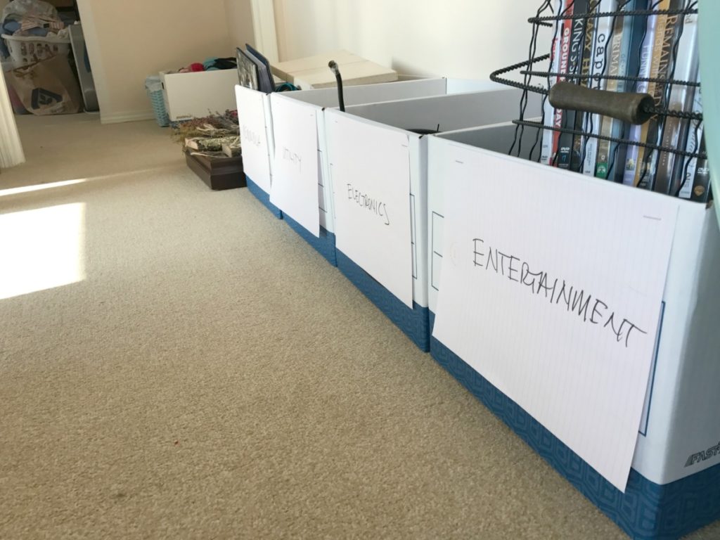 Life Transitions Sorting Boxes